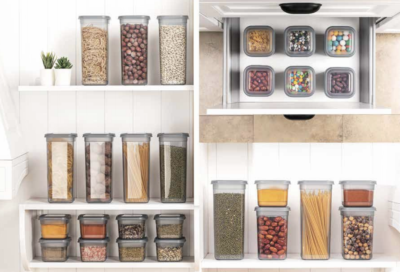 Freshlife Producto 1