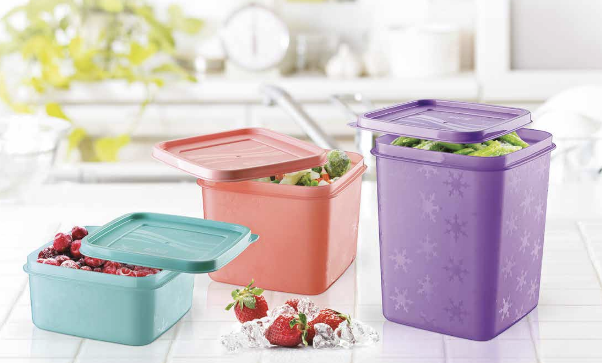 Freshlife Producto 6